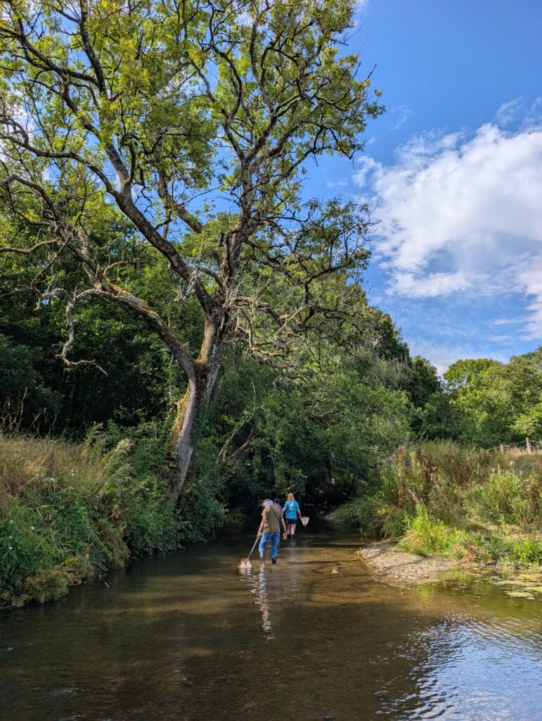 young people in a river exploring using nets