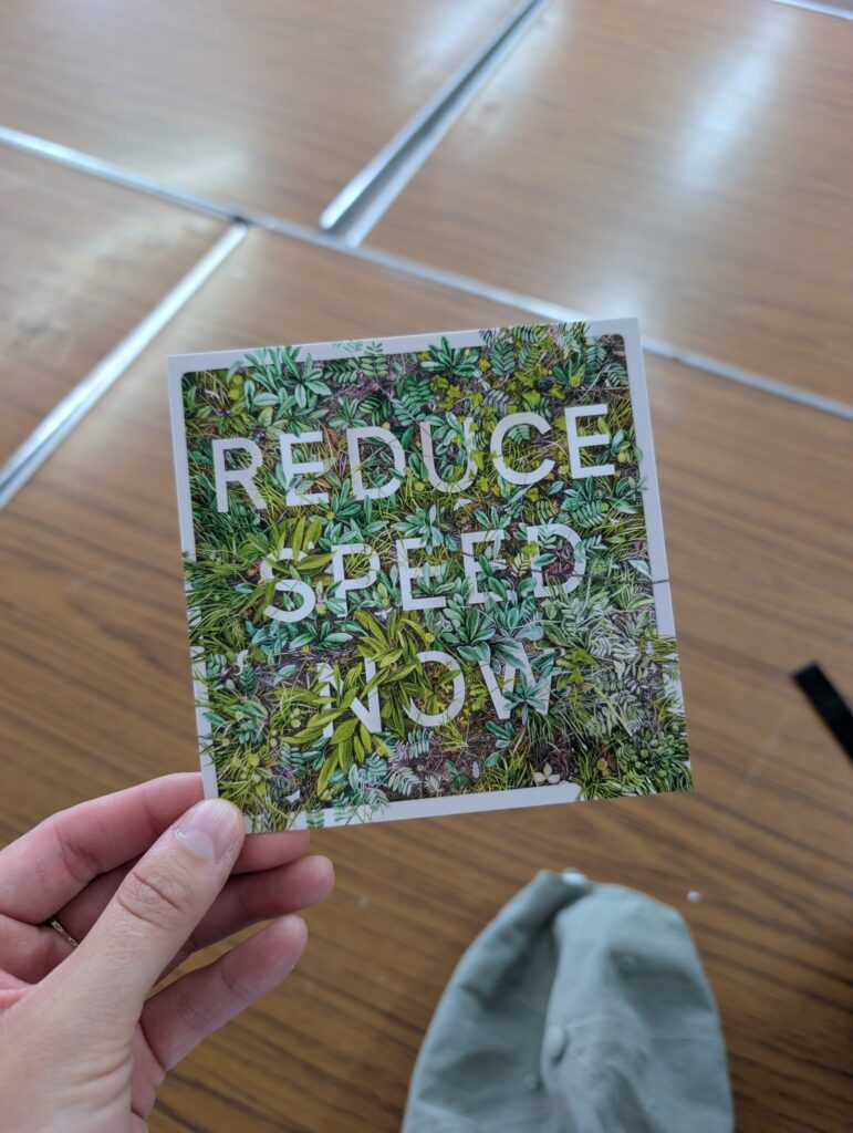 reduce speed now art design